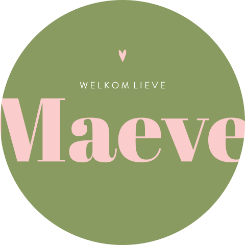 Vrolijke raamsticker in colorblocking groen en roze