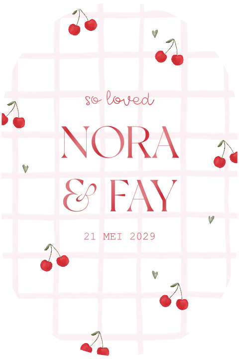 Vrolijk geboortekaartje tweeling met ruitjespatroon en kersjes