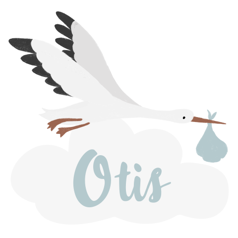 Raamsticker geboorte jongen in unieke vorm met ooievaar