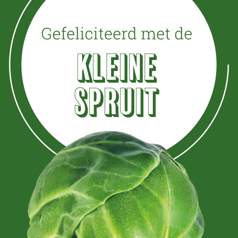 Wenskaart Hutten kleine spruit
