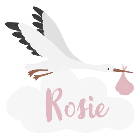 Geboortebord tuin meisje met ooievaar roze