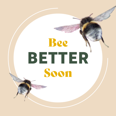 Wenskaart Hutten bee better soon