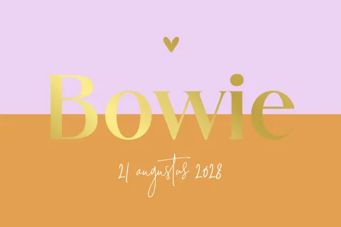 Geboortekaartje color blocking met naam in goudfolie