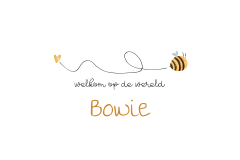 Felicitatiekaartje geboorte kindje met bijtje