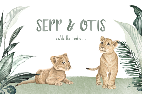 Stoer geboortekaartje jongens tweeling met leeuwenwelpjes