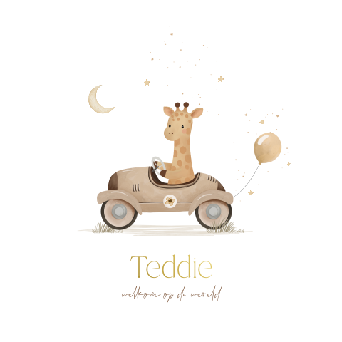 Geboortekaartje met een giraf in een autootje met ballon