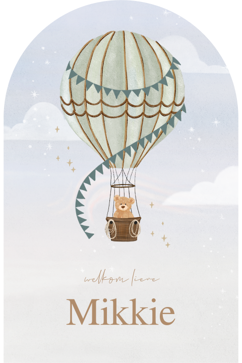Geboortekaartje luchtballon beer originele vorm