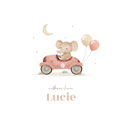 Lief geboortekaartje met olifantje in auto