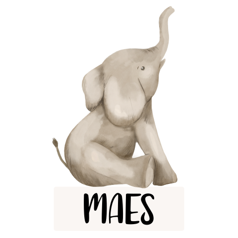 Raamsticker geboorte met olifant