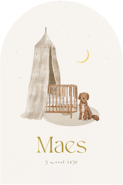 Stijlvol geboortekaartje met illustratie wiegje en labradoodle 