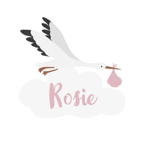 Raamsticker geboorte rond met ooievaar in roze
