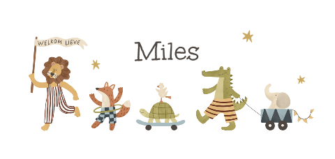 Geboortekaartje met vrolijke dieren parade