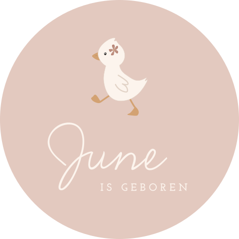 Geboorte raamsticker met lief eendje