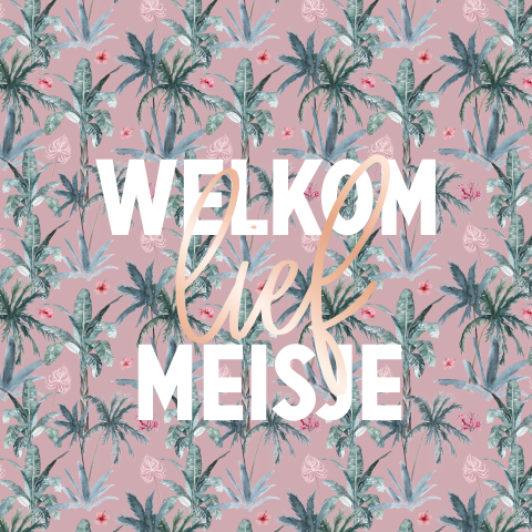 Vrolijke wenskaart geboorte meisje met rosefolie