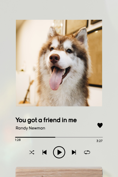 Plexiglas Spotify poster met houten houder Friend