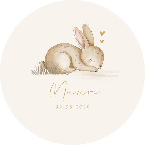 Lieve raamsticker rond met slapend konijntje
