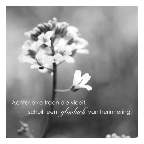 Condoleance kaart in zwart en wit met bloem