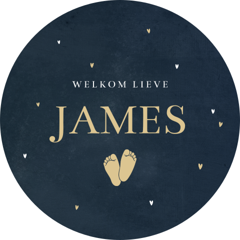 Geboorte raamsticker voor jongen met voetjes en hartjes