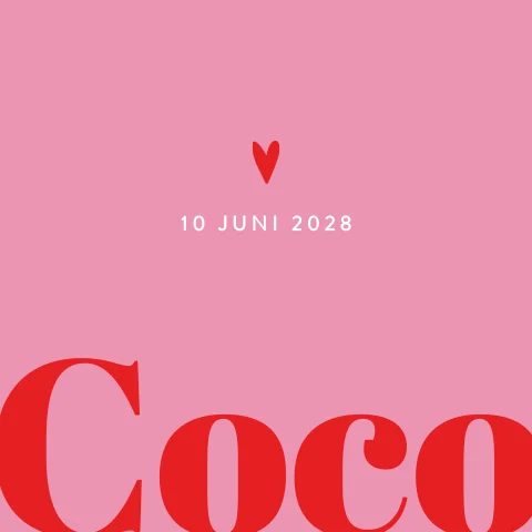 Geboortekaartje meisje in color blocking roze/rood