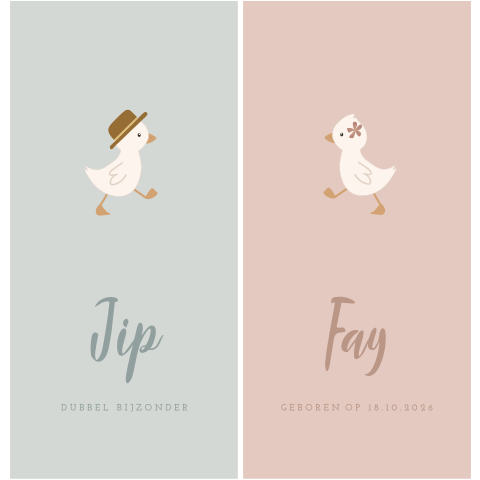 Geboortekaartje voor tweeling met lieve eendjes