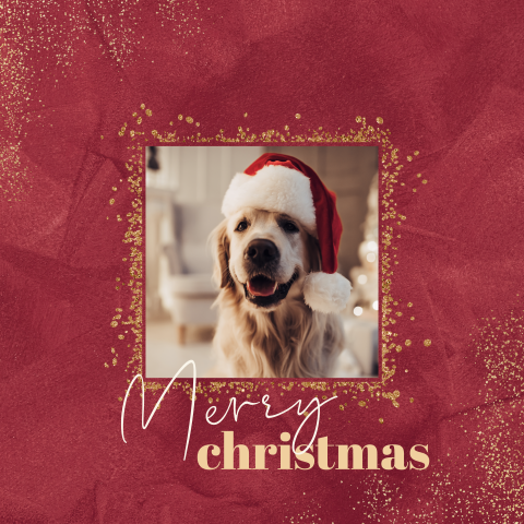 Kerstkaart met eigen foto en gouden spetters