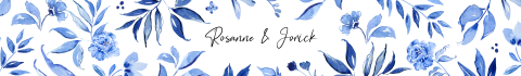 Bellyband Delfts blauw met bloemen