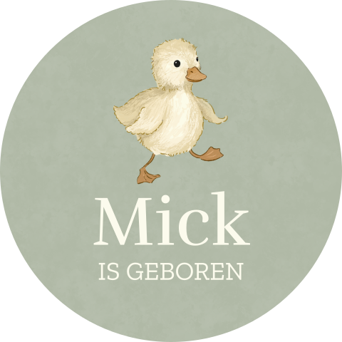 Raamsticker rond in groen met schattig eendje