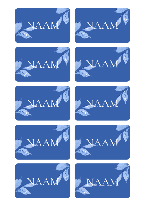 Bruiloft naamkaartjes Delfts blauw