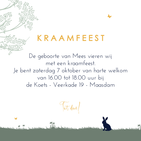 Lief kraamfeest kaartje met konijn