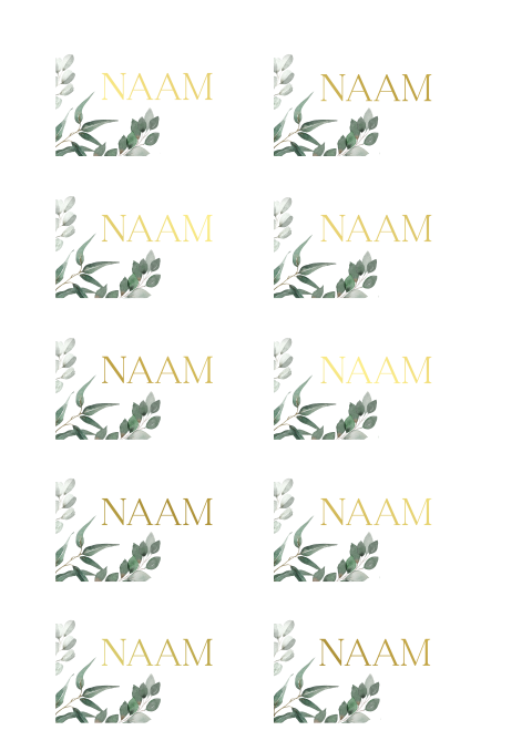 Elegante namkaartjes bruiloft botanisch met goudfolie
