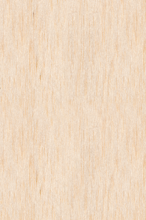 Geboortekaartje zelf maken echt hout | staand