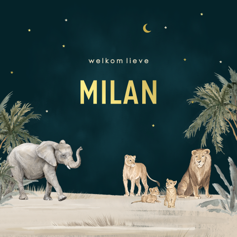 Avontuurlijk geboortekaartje voor zoon met leeuwtjes en goudfolie