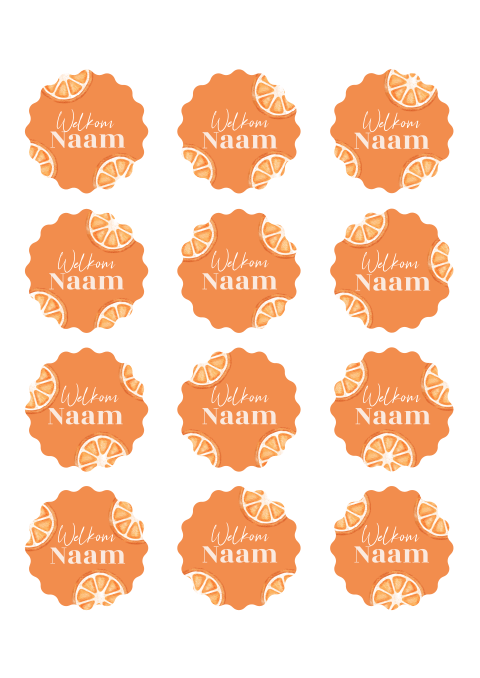 Naamkaartjes zigzag met sinaasappels 21 diner