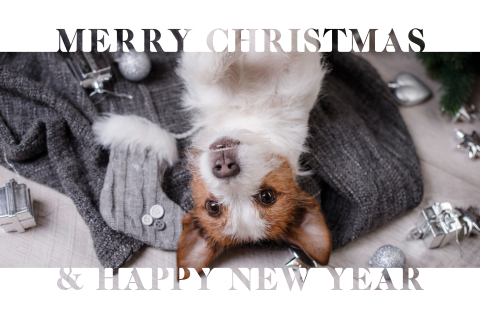 Persoonlijke kerstkaart met eigen foto