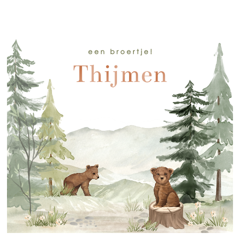 Geboortekaartje met beren in het bos voor jongen