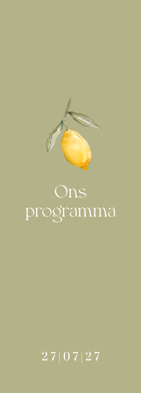 Programmakaartje strip met citroenen