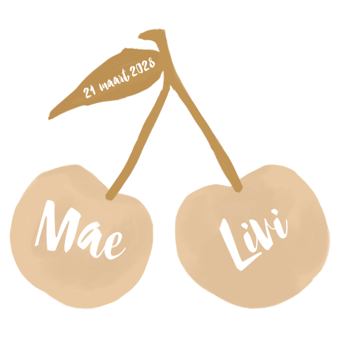 Origineel geboortekaartje tweeling in de vorm van twee kersjes