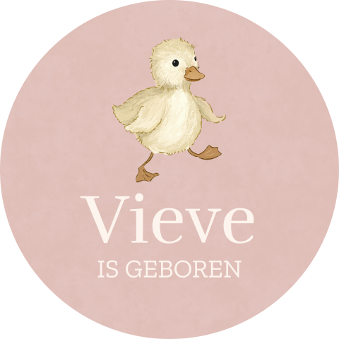 Raamsticker rond in roze met schattig eendje