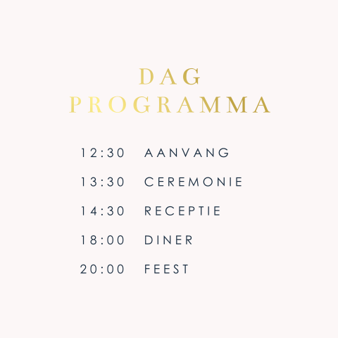 Stijlvol programmakaartje met dagprogramma