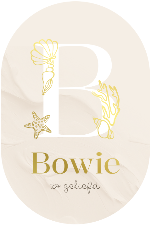 Geboortekaartje ovaal met schelpen en goudfolie