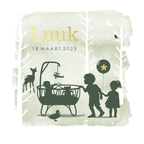Geboortekaartje broertje met silhouet en goudfolie