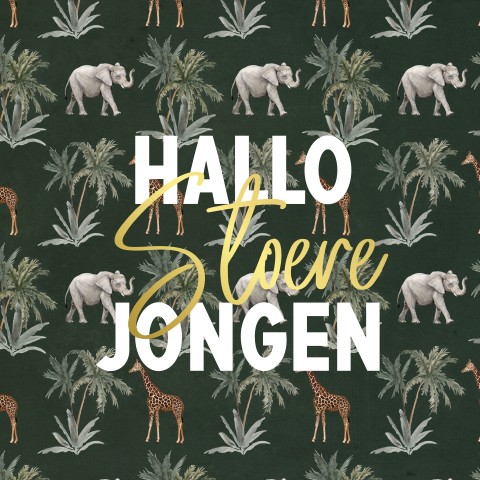 Stoere wenskaart geboorte jongen met goudfolie