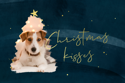 Originele kerstkaart met foto als kerstboom en goudfolie