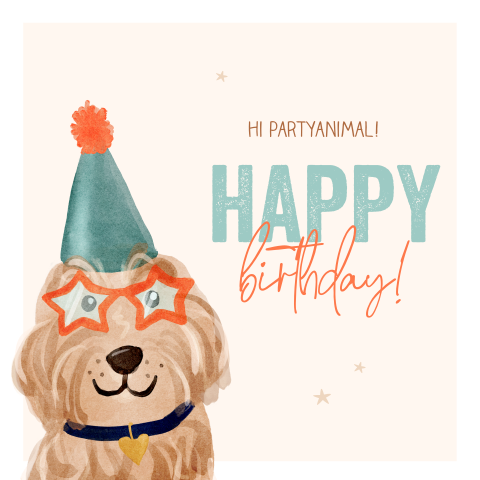 Verjaardagskaart hondje feestmuts