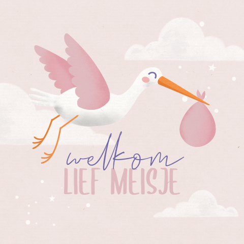 Wenskaart ooievaar geboorte meisje