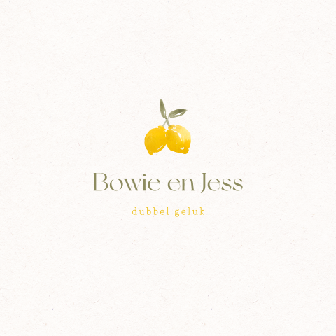 Tweeling geboortekaartje met citroentjes