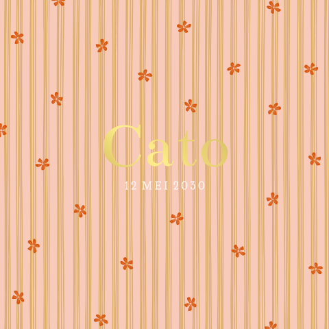 Lief geboortekaartje met bloemetjes en strepen