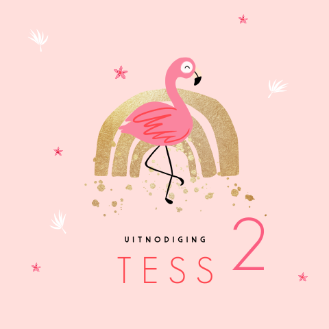 Verjaardag meisje uitnodiging met flamingo
