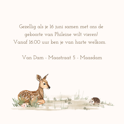 Kraamborrel uitnodiging schattige bosdieren