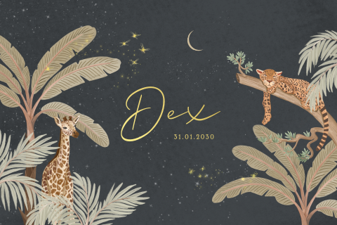 Stoer jungle geboortekaartje met goudfolie en sterrenhemel